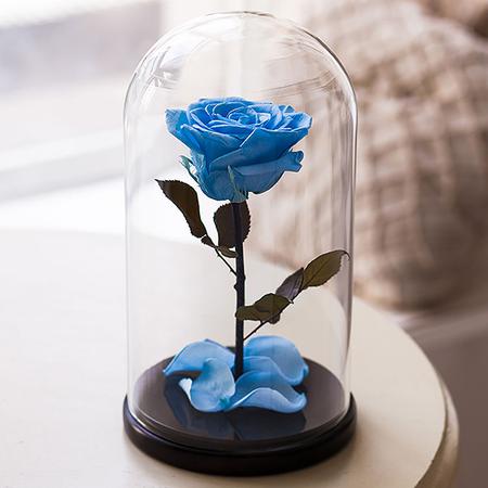 Голубая роза в колбе