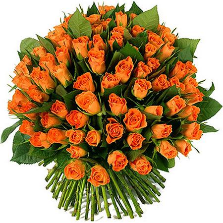 Букет 101 оранжевая роза (40 см)