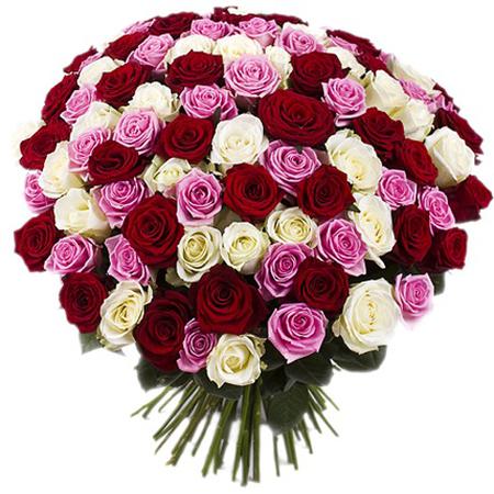 Букет из 101 разноцветной розы 50 см