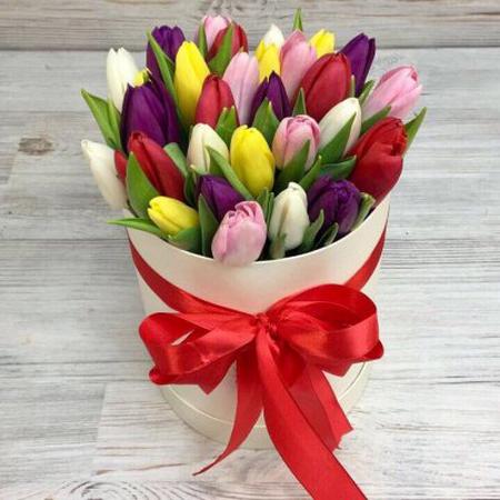 29 разноцветных тюльпанов микс в белой коробке