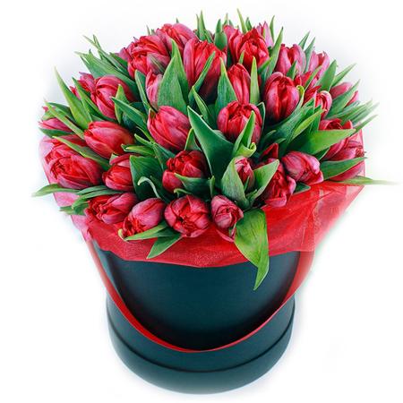 Шляпная коробка из 31 красного пионовидного тюльпанов